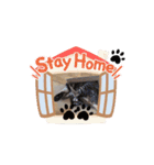 My cat2__（個別スタンプ：22）
