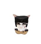 My cat2__（個別スタンプ：29）