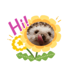 maron greeting（個別スタンプ：1）