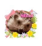 maron greeting（個別スタンプ：2）