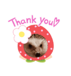 maron greeting（個別スタンプ：5）