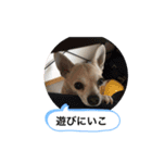 おねがい♡ローくん（個別スタンプ：3）