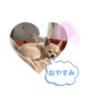 おねがい♡ローくん（個別スタンプ：4）