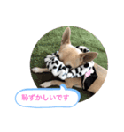 おねがい♡ローくん（個別スタンプ：5）