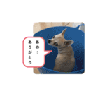 おねがい♡ローくん（個別スタンプ：7）
