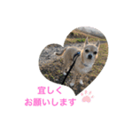おねがい♡ローくん（個別スタンプ：9）