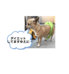 おねがい♡ローくん（個別スタンプ：12）