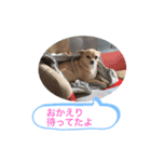 おねがい♡ローくん（個別スタンプ：14）