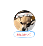 おねがい♡ローくん（個別スタンプ：16）