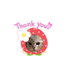 きなこもち❸（個別スタンプ：1）