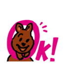 クオッカちゃん（個別スタンプ：3）