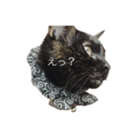 ☆ジジちゃん2☆（個別スタンプ：1）