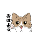 smallとウリ（個別スタンプ：4）