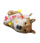 だいちゃん好きのためのスタンプ第一弾（個別スタンプ：7）
