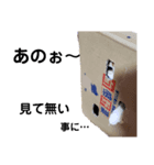 ツキヤヤ2（個別スタンプ：2）