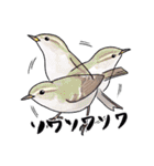 日本の野鳥6（個別スタンプ：6）
