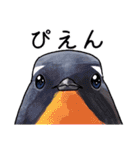 日本の野鳥6（個別スタンプ：9）
