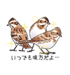 日本の野鳥6（個別スタンプ：18）