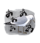 日本の野鳥6（個別スタンプ：28）