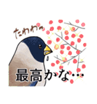日本の野鳥6（個別スタンプ：32）