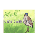 日本の野鳥6（個別スタンプ：33）