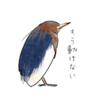 日本の野鳥6（個別スタンプ：34）