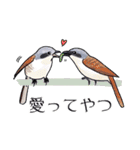 日本の野鳥6（個別スタンプ：35）
