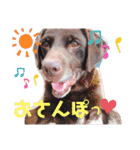 瑛斗と瑛愛3（個別スタンプ：24）