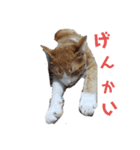 ツキとヤヤ1（個別スタンプ：6）