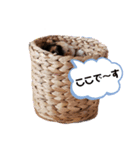 ヤヤ1（個別スタンプ：1）
