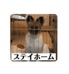 ナイト君のお気楽スタンプ2（個別スタンプ：1）