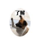 ナイト君のお気楽スタンプ2（個別スタンプ：5）