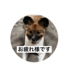 ナイト君のお気楽スタンプ2（個別スタンプ：8）