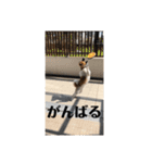 ナイト君のお気楽スタンプ2（個別スタンプ：9）