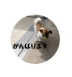 ナイト君のお気楽スタンプ2（個別スタンプ：10）