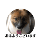 ナイト君のお気楽スタンプ2（個別スタンプ：11）