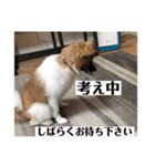 ナイト君のお気楽スタンプ2（個別スタンプ：12）