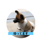 ナイト君のお気楽スタンプ2（個別スタンプ：13）