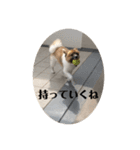 ナイト君のお気楽スタンプ2（個別スタンプ：14）