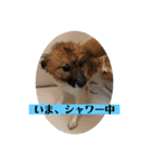 ナイト君のお気楽スタンプ2（個別スタンプ：16）