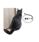 ねこのつぶちゃん（個別スタンプ：33）