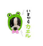ちるちゃんスタンプ❤︎（個別スタンプ：12）
