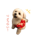フィンだよ（個別スタンプ：6）