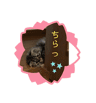 ショコラ♡chocolat2（個別スタンプ：13）