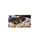 Choco'sスタンプ Part2（個別スタンプ：2）