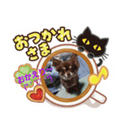 Choco'sスタンプ Part2（個別スタンプ：7）