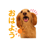 リュークのスタンプ♪（個別スタンプ：4）