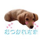 リュークのスタンプ♪（個別スタンプ：8）
