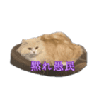 めぇたんスタンプ（個別スタンプ：1）