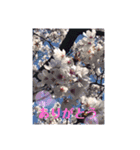 挨拶．景色2。（個別スタンプ：16）